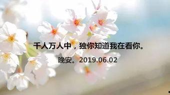 半生甘苦遇见你,邂逅你我——人生旅程的温馨回响