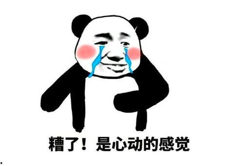 糟了，是心动的感觉,揭秘“糟了，是心动的感觉”的魔力