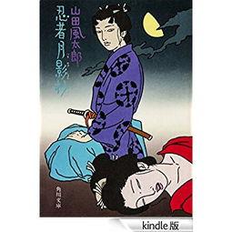 忍者月影抄,隐秘世界中的传奇冒险